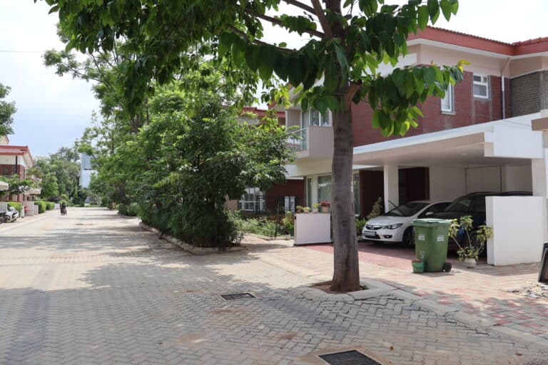 Sycon Maitri — photo 4