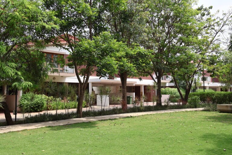 Sycon Maitri — photo 3