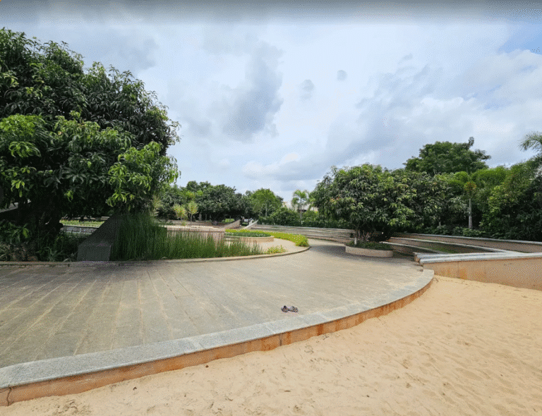 Woodsong Around the Mangoes — photo 6