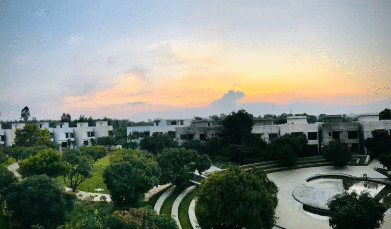Woodsong Around the Mangoes — photo 4