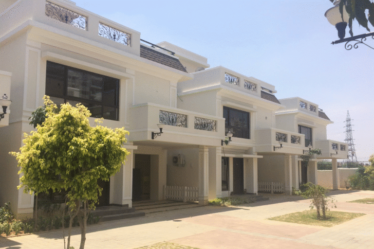 NVT Arcot Vaksana — photo 2