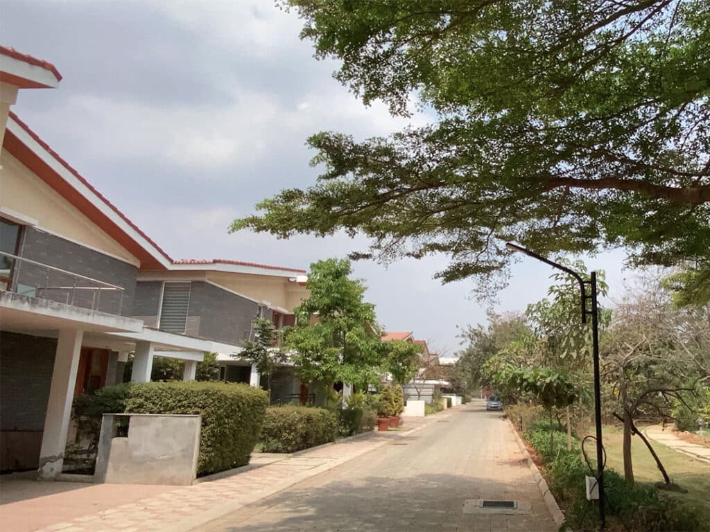 Sycon Maitri — photo 18