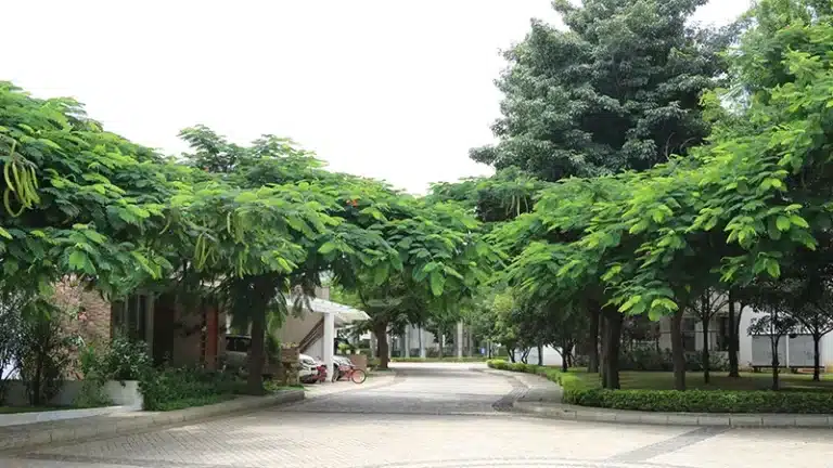Sterling Villa Grande — photo 5