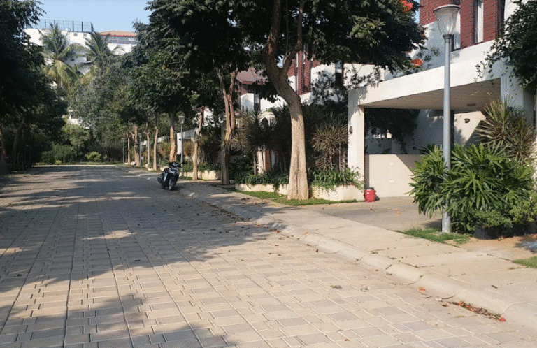 Chaithanya Swojas — photo 5