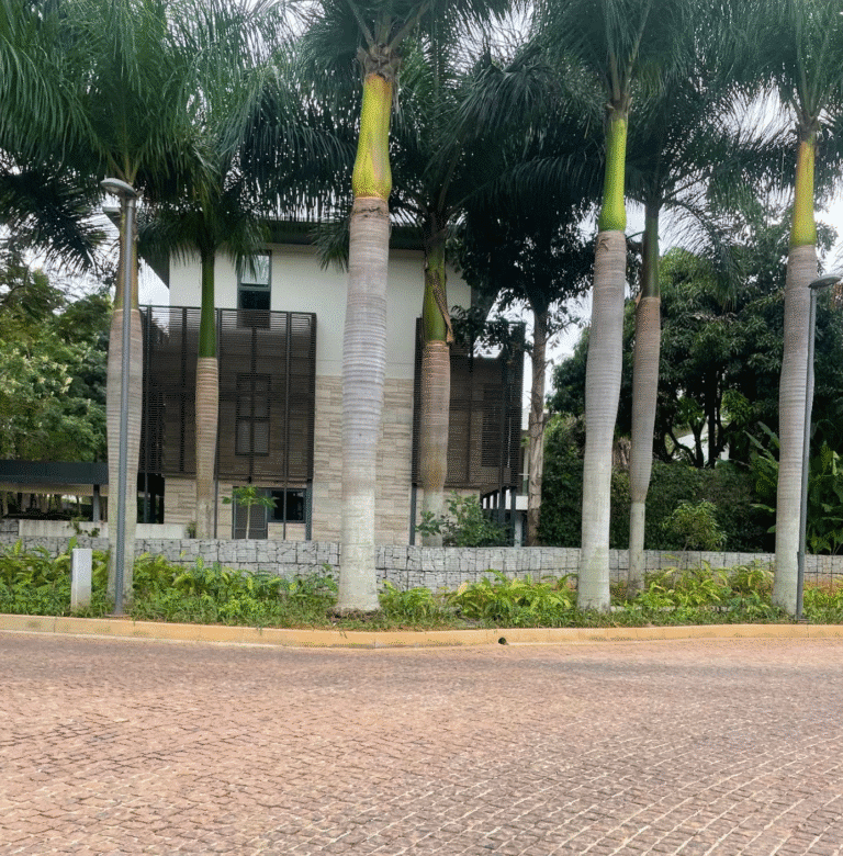 Embassy Boulevard — photo 6