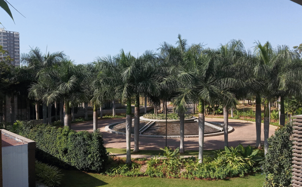 Embassy Boulevard — photo 6