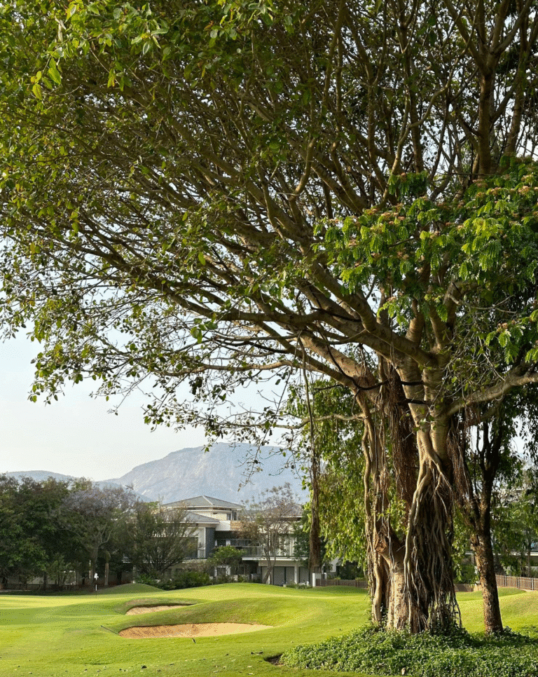 Prestige Golfshire — photo 5