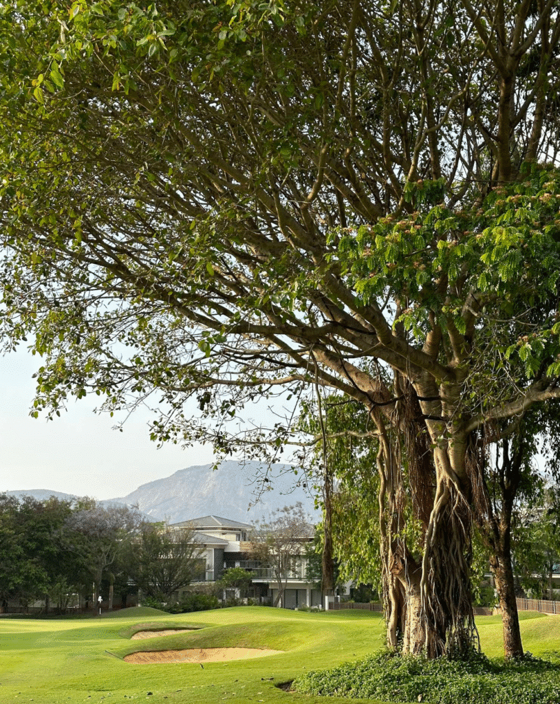 Prestige Golfshire — photo 4
