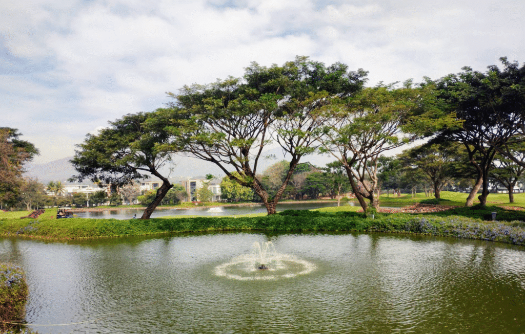 Prestige Golfshire — photo 5