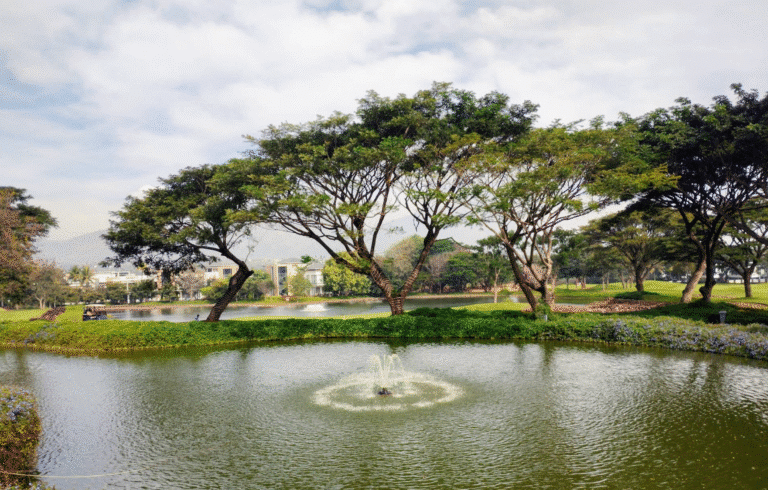 Prestige Golfshire — photo 6