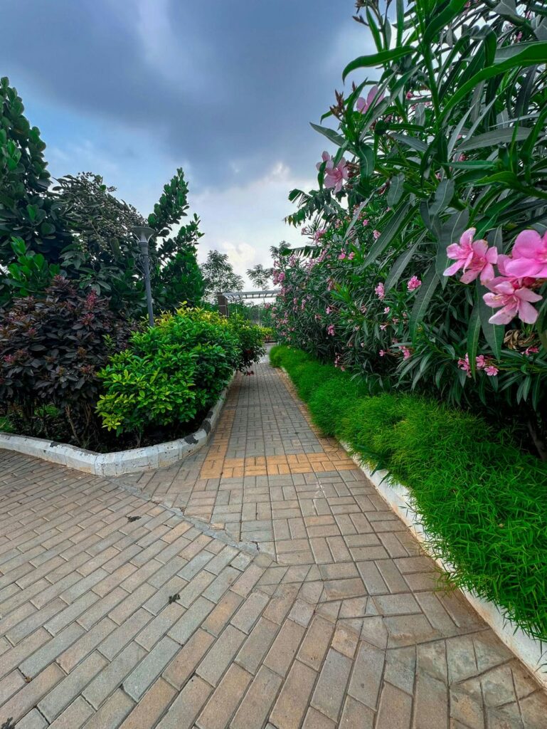 M1 Terra Alegria Villa — photo 8