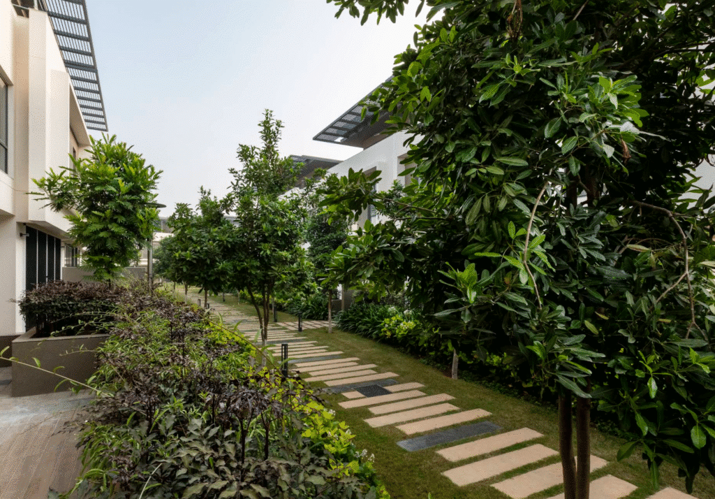 Goyal and Co Alanoville — photo 4