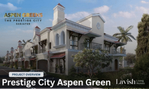 Prestige City Aspen Green