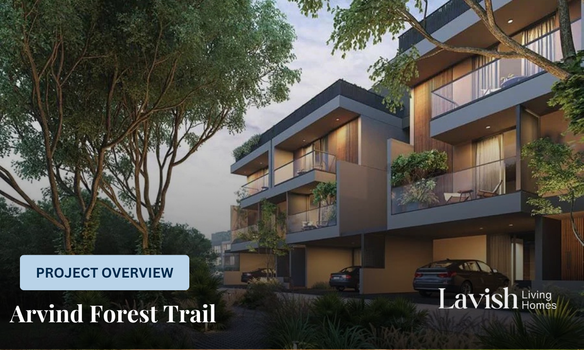 Arvind Forest Trail