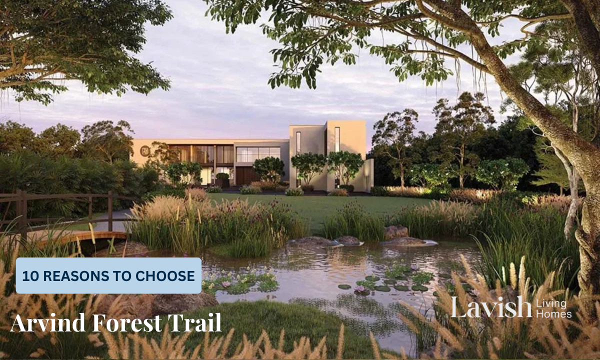 Arvind Forest Trail