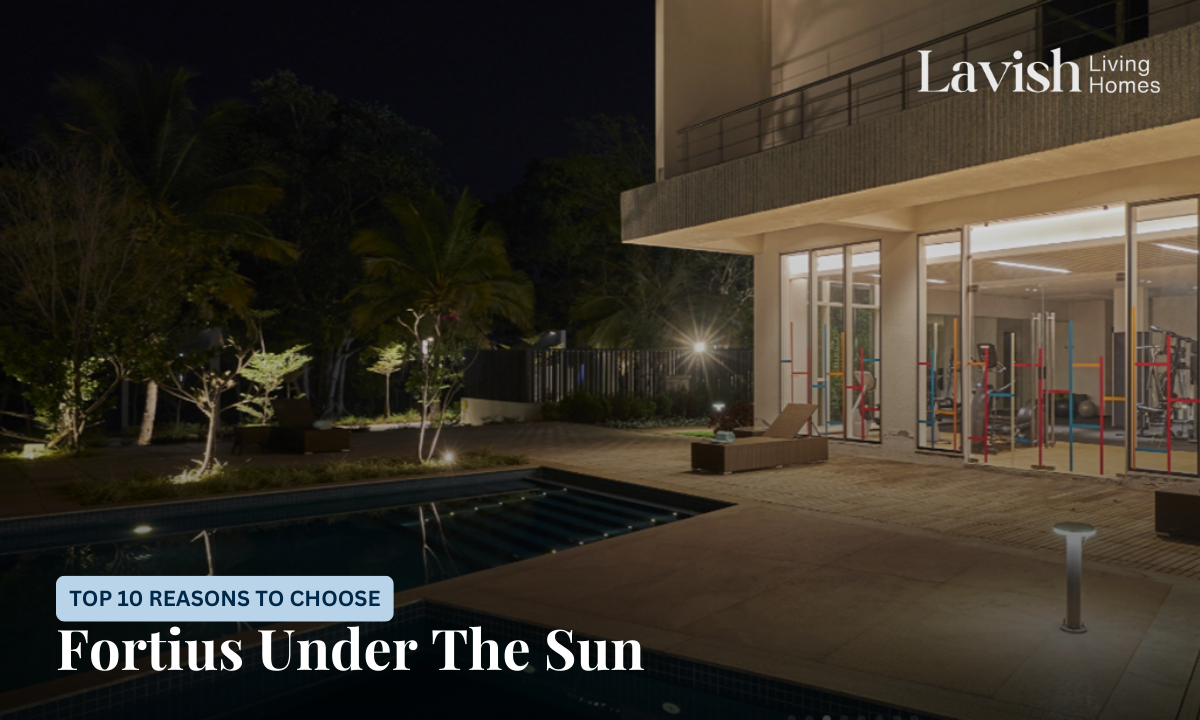 Fortius Under The Sun