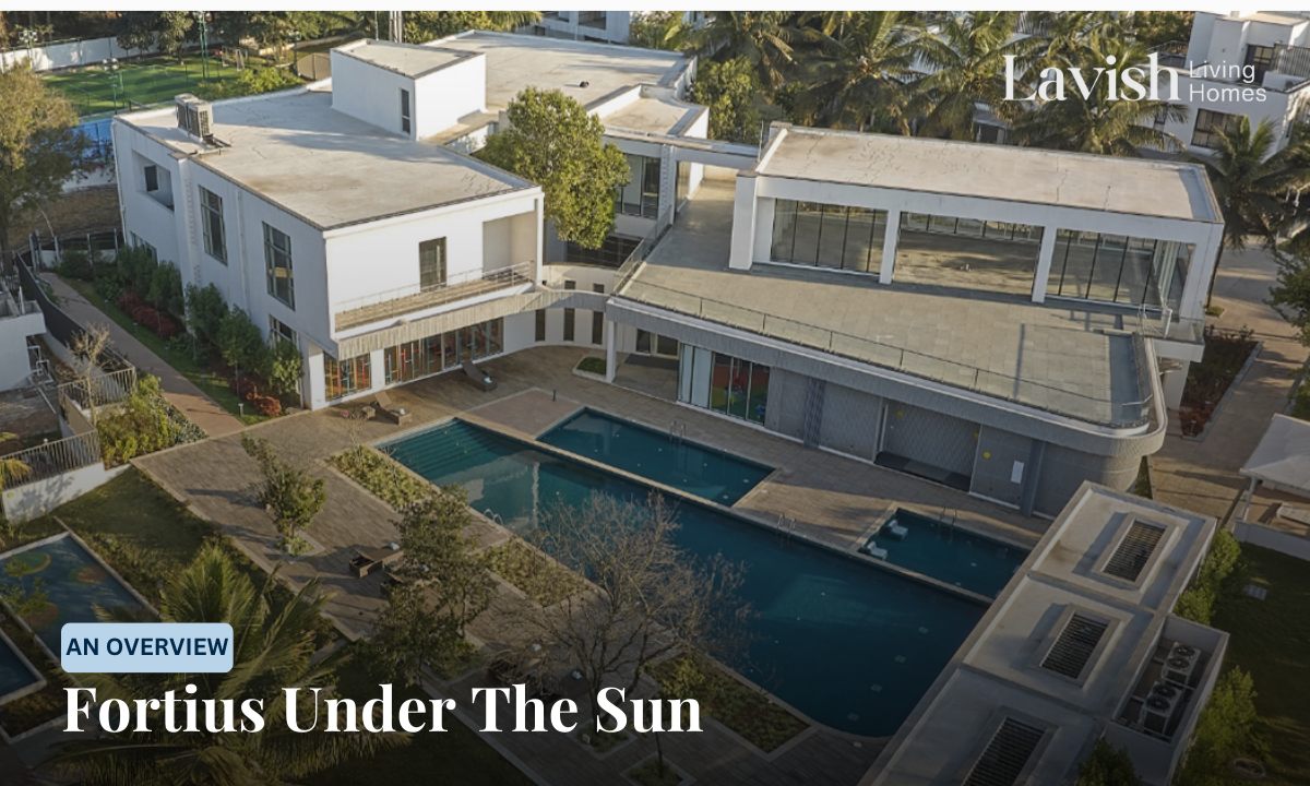 Fortius Under The Sun