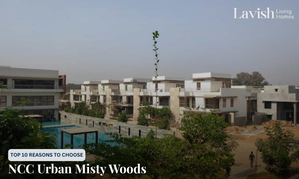 NCC Urban Misty Woods