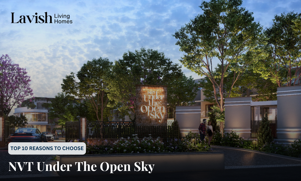 NVT Under The Open Sky (1)