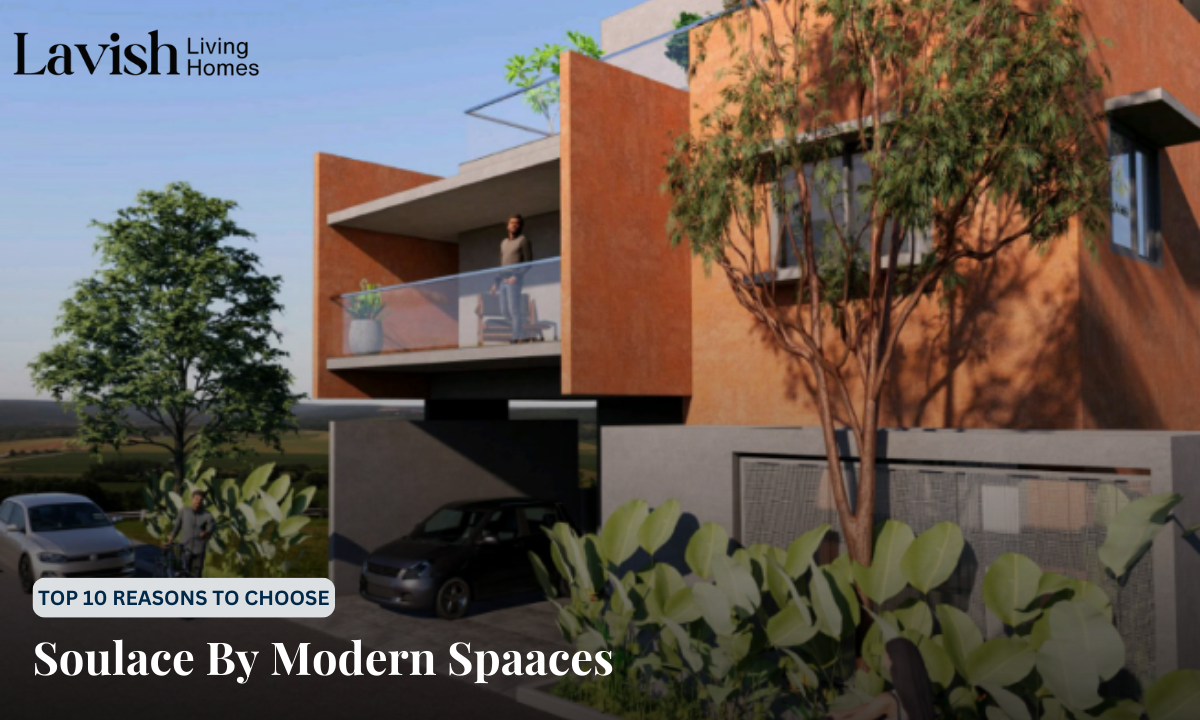 Soulace By Modern Spaaces