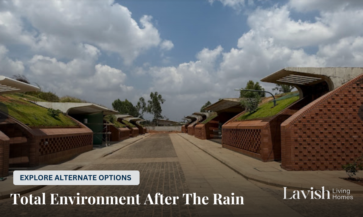 Total Environment After The Rain
