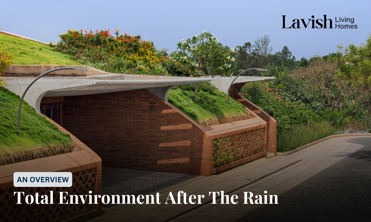 Total Environment After The Rain