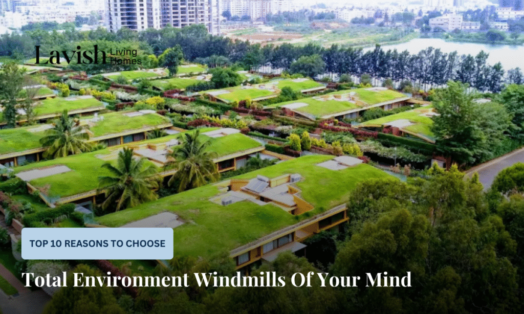Total Environment Windmills Of Your Mind