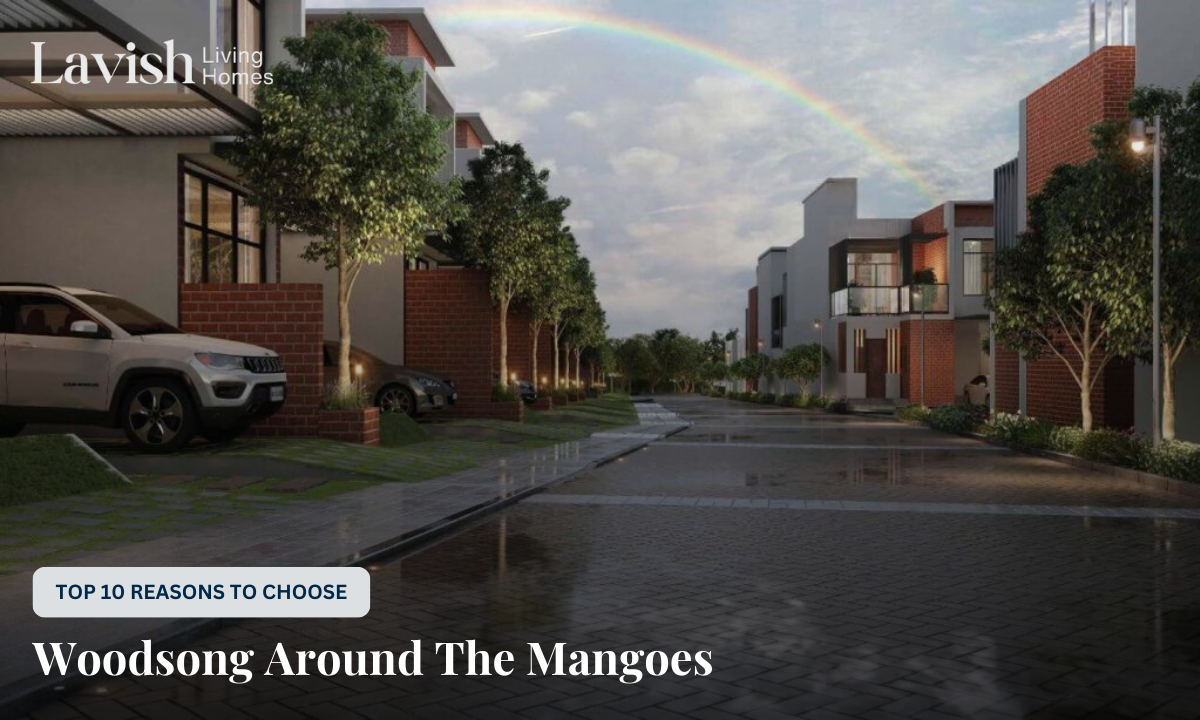 Woodsong Around The Mangoes