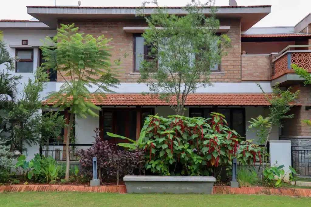 GoodEarth Malhar Patterns — photo 8