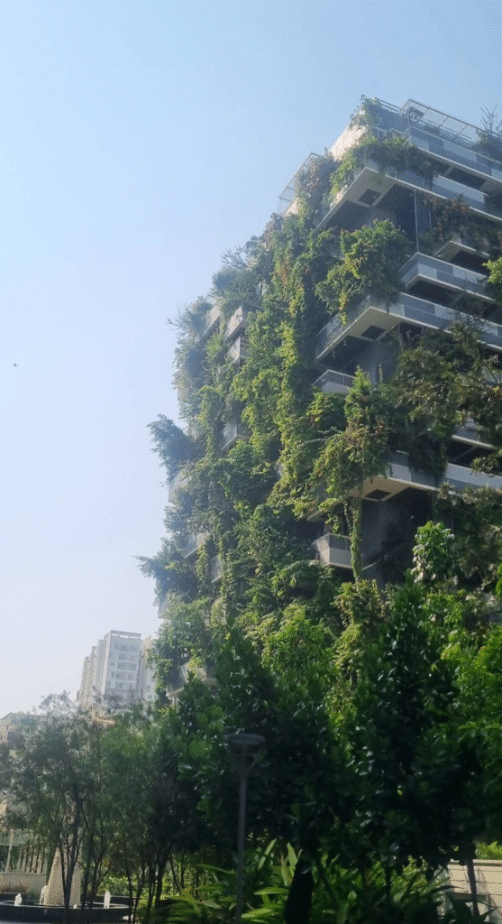 Mana Foresta — photo 3