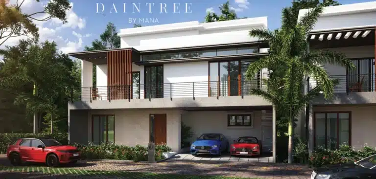 Mana Daintree — photo 3