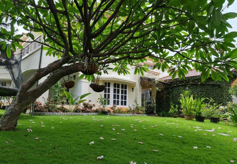 Adarsh Palm Meadows — photo 4