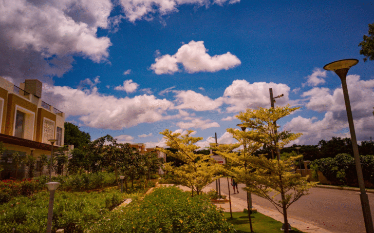 Prestige Woodside — photo 4