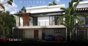Mana Daintree
