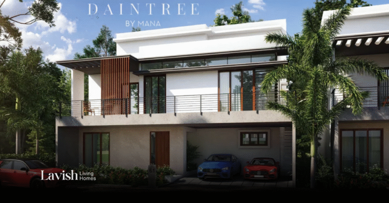 Mana Daintree