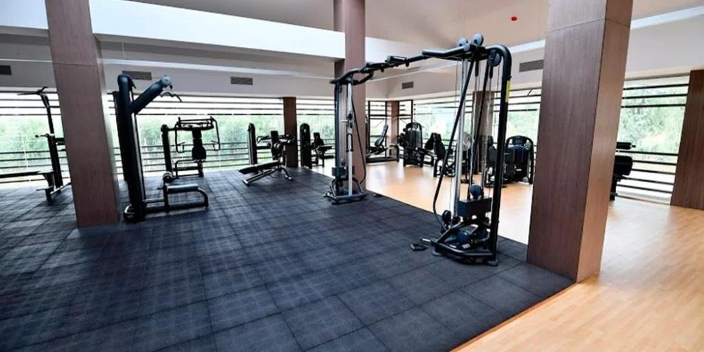 Chaithanya Smaran Villas Amenities 