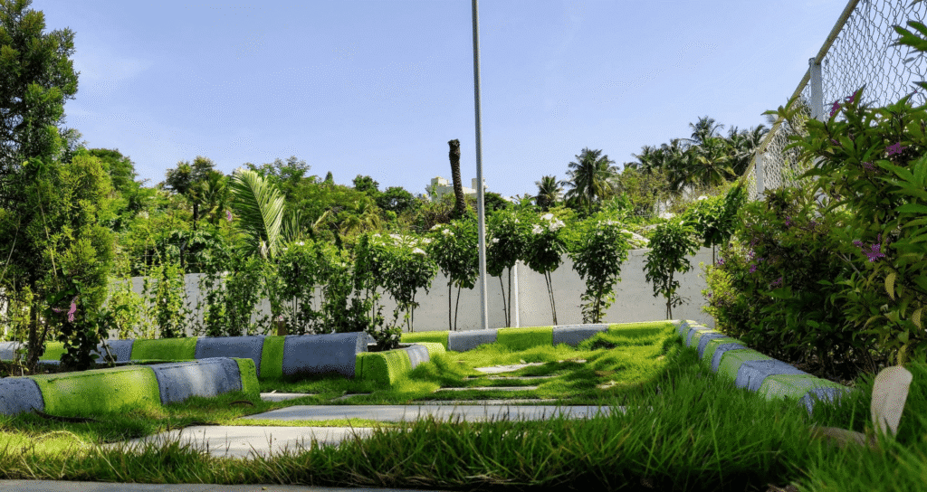 Bluejay Malgudi — photo 5