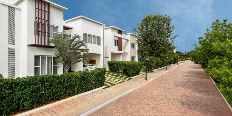 0iwACG1k0JqOUkiqZjYjtp6jRVe610