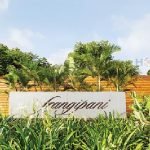 Frangipani