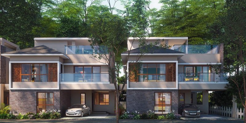 NVT Stopping by the woods