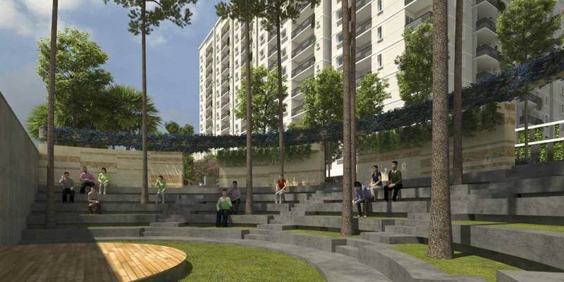 Amphitheatre-Mana-Foresta