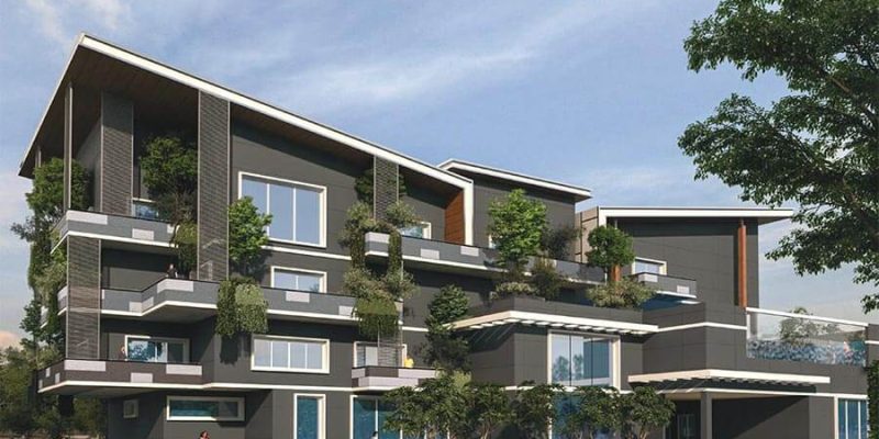 Clubhouse-Mana-Foresta