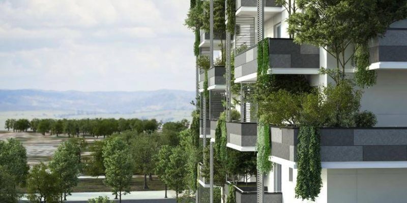 Elevation-A-Mana-Foresta