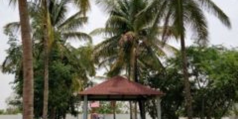 IMG-20180602-WA0020-240x320