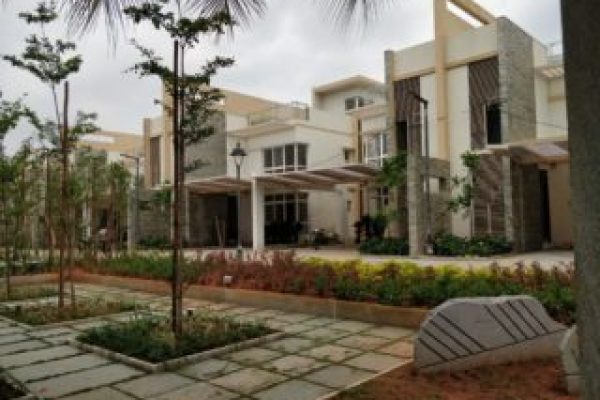 Vaswani Walnut Creek