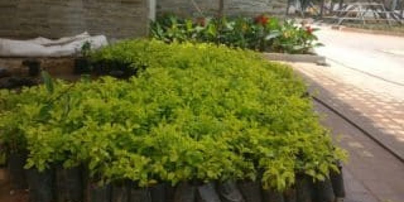 IMG_20180430_125555-320x180