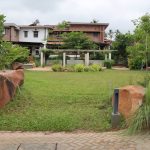Malhar Patterns