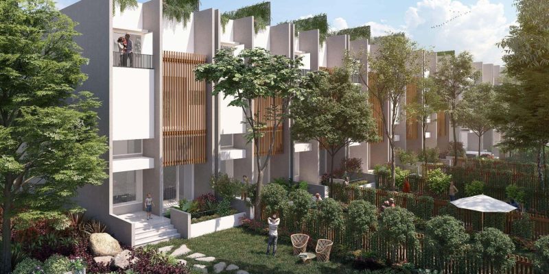 Assetz Leaves and Lives