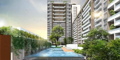 Peninsula Heights