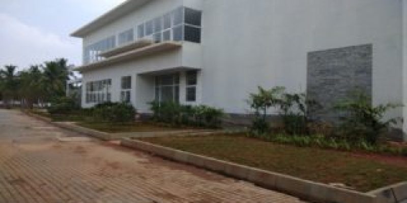 Picture1313131313131-320x200